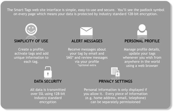 About Smart Tags